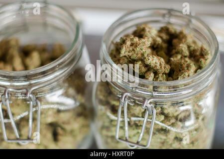 Glass jars full of marijuana buds on display and for sale at a dispensary in Colorado Stock Photo