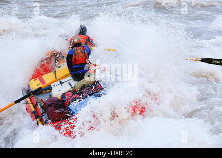 Rafters in Lava Falls, Grand Canyon National Park, Arizona, United States. Stock Photo