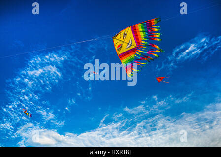 Kite flying on Galle Face Green, Colombo, Sri Lanka.  A daily sunset tradition for families to fly kites as the sun sets on the famous waterfront. Stock Photo