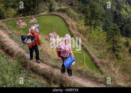 Langde Village, Guizhou, China - April 15, 2010: Two Asian women peasants, farmers go for agricultural work is carried on the shoulders of the yoke wi Stock Photo