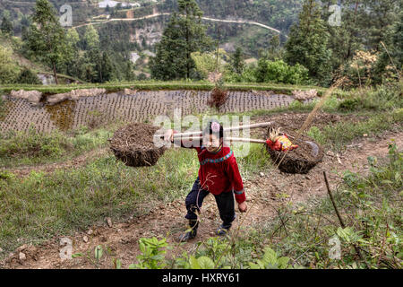 Langde Village, Guizhou, China - April 15, 2010: Asian  peasant farmer woman carrying a yoke, Chinese agricultural farm worker carries yoke loaded. Stock Photo