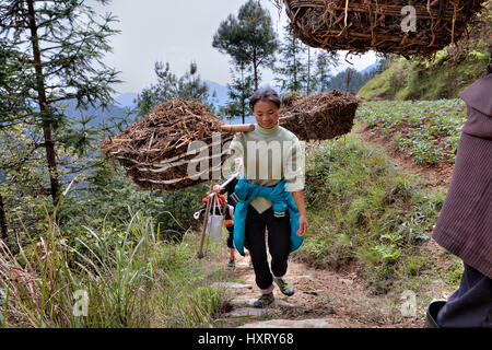 Langde Village, Guizhou, China - April 15, 2010: Young woman farmer carries the load on a yoke in the mountainous region of rural China. Stock Photo