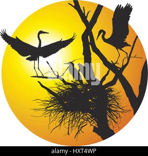 Herons on nest in the ring Stock Vector