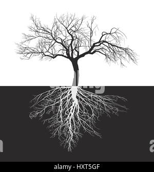 Apple tree without leaves with roots Stock Vector