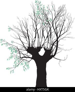 Vector illustration of old tree on which expel young leaves Stock Vector