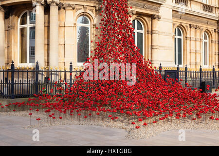 Hull, East Yorkshire, UK. 30th March 2017. Poppies: Weeping Window by Paul Cummins artist and Tom Piper designer. A cascade of several thousand handmade ceramic poppies installed at Hull’s Maritime Museum. Credit: LEE BEEL/Alamy Live News Stock Photo