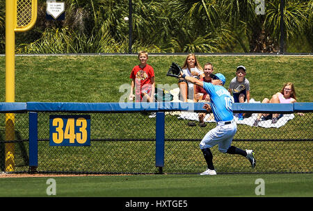 March 30, 2017 - Port Charlotte, Florida, U.S. - WILL VRAGOVIC   |   Times.Tampa Bay Rays left fielder Corey Dickerson (10) tracks down the fly ball by Minnesota Twins third baseman Miguel Sano (22) in the second inning of the game between the Minnesota Twins and the Tampa Bay Rays at Charlotte Sports Park in Port Charlotte, Fla. on Thursday, March 30, 2017. (Credit Image: © Will Vragovic/Tampa Bay Times via ZUMA Wire) Stock Photo