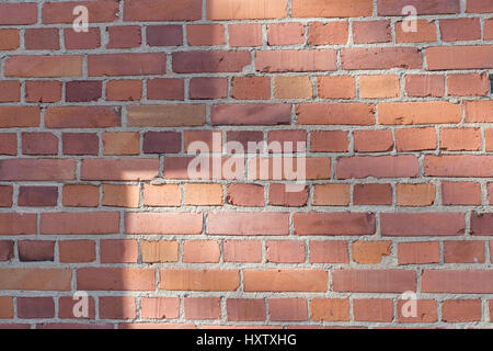 Sun makes shadows on the wall Stock Photo