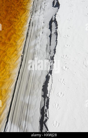 Abstract shot of the edge of a tannin-stained creek with seagull footprints at Green Patch Beach, a scenic beach with fine white sand in Jervis Bay, Stock Photo