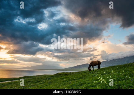 Sailimu Lake scenery,Sinkiang,China Stock Photo