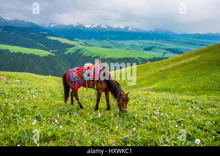 Kalajun grassland of Tekes County,Sinkiang,China Stock Photo