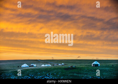 Kalajun grassland of Tekes County,Sinkiang,China Stock Photo