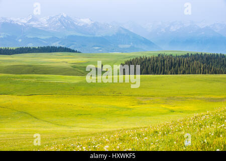 Kalajun grassland of Tekes County,Sinkiang,China Stock Photo