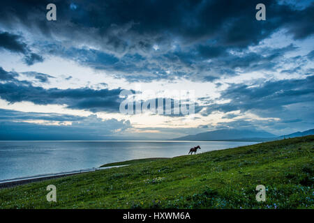 Sailimu Lake scenery,Sinkiang,China Stock Photo