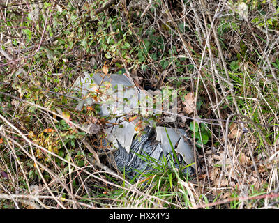 Environmental pollution. Old car battery rotting in hedge. Stock Photo