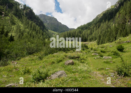 Wangenitztal near Moertschach in Moelltal, Carinthia, Austria Stock Photo