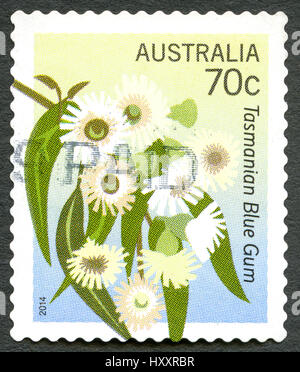 AUSTRALIA - CIRCA 2014: A used postage stamp from Australia, depicting an illustration of a Tasmnian Blue Gum plantae, circa 2014. Stock Photo