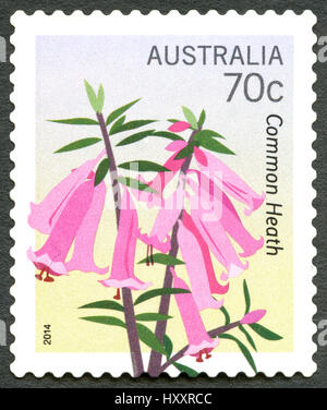 AUSTRALIA - CIRCA 2014: A used postage stamp from Australia, depicting an illustration of a Common Heath plant, circa 2014. Stock Photo