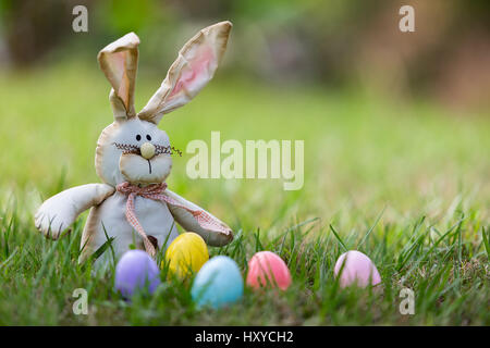 Easter Bunny Stock Photo