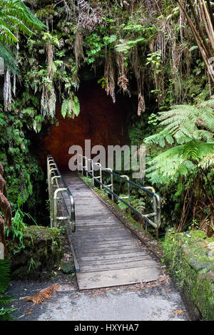 Entrance to the Thurston Lava Tube in the Hawaii Volcanoes National Park on Big Island, Hawaii, USA. Stock Photo