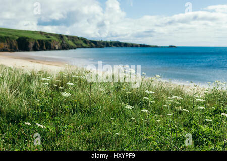 White Sands of Lunan Bay Beach in Angus, East Coast of Scotland Stock Photo