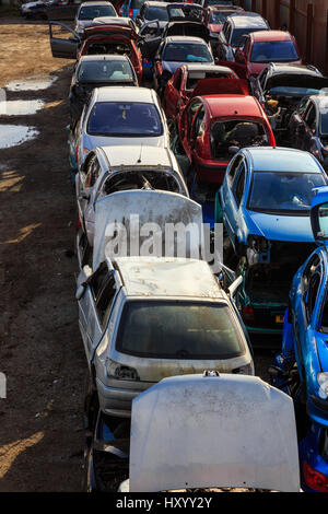 GRIMSBY, ENGLAND - MARCH 14: Rows of old damaged cars in scrap yard in England. In Grimsby, North Lincolnshire, England. On 14th March 2017. Stock Photo