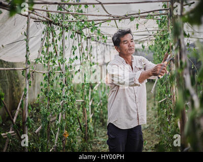 Mapopo Farmers in New Territories, Hong Kong.  Only seven square kilometres of farmland now exist in Hong Kong.  They are fighting government to keep. Stock Photo