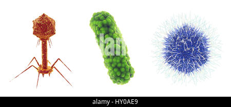 Bacteriophage virus , bacterium and Mimivirus , Set of microscopic germs that cause infectious diseases , isolated on white , Viral and bacterial infe Stock Photo