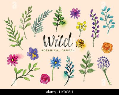 isolated Wild botanical plants, flowers, leaves & shrubs in watercolour and ink. Vector illustration Stock Vector