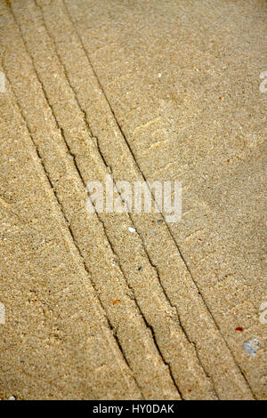 texture of tire tracks on dry sand Stock Photo