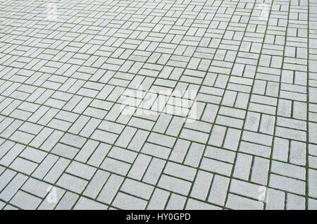 Photo (not a computer rendering) of paving slabs sprouted green moss from excessive moisture Stock Photo