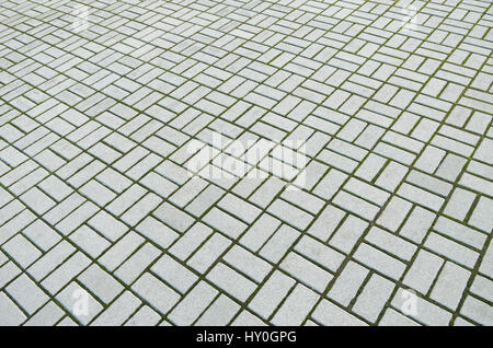 Photo (not a computer rendering) of paving slabs sprouted green moss from excessive moisture Stock Photo