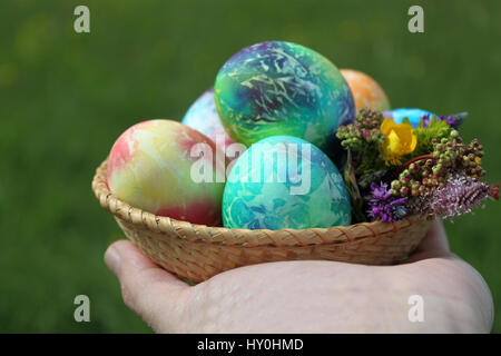 Colored easter eggs in basket and spring flowers Stock Photo