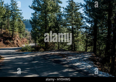 Snow covered road, mashobra, himachal pradesh, india, asia Stock Photo