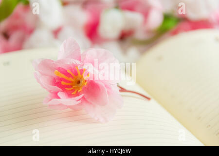 Flower on open blank note book against flower background Stock Photo