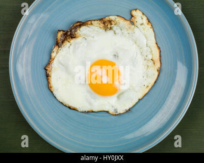 Single Fried Egg on a Blue Plate Against a Green Background Stock Photo