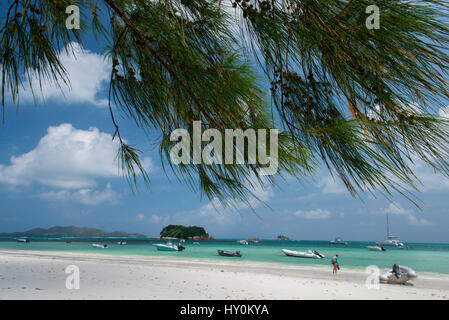 Seychelles, Praslin. Cote D'Or, one of the most beautiful beaches on the island. Stock Photo