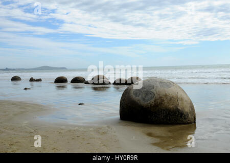 The Moeraki Boulders on Koekohe Beach on the Otago coast of New Zealand's South Island. They are a popular tourist attraction for those travelling SH1 Stock Photo