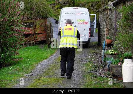 Rear view of a Yodel delivery man and white van delivering a parcel at a rural property in Carmarthenshire West Wales UK Great Britain  KATHY DEWITT Stock Photo