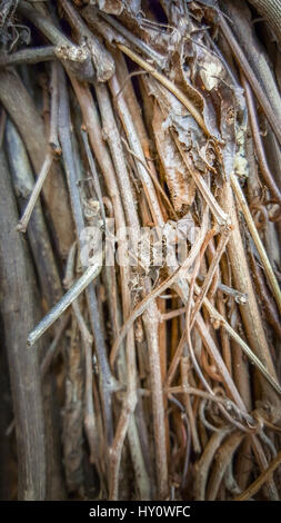 Grapevine Ties abstract background. Rustic decoration. DIY, homemade, handmade project. Texture of vine ties Stock Photo