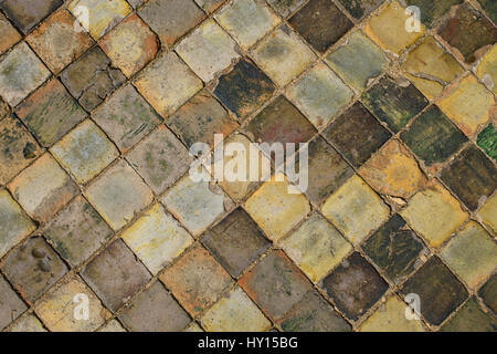 Medieval ceramic floor tiles in the ruins of Byland Cistercian Abbey, Ryedale, North Yorkshire, England Stock Photo