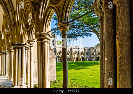 Salisbury Cathedral, Cloister; Kreuzgang der Kathedrale von Salisbury Stock Photo