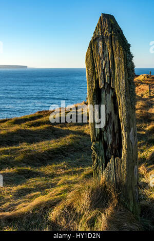 Old fence post on the coastal path on the west side of Dunnet Head, Caithness, Scotland, UK. Holborn Head in the distance. Stock Photo