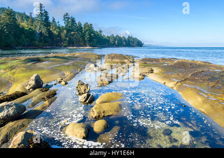 Rocks and tidepools, Cable Bay, Galiano Island, British Columbia, Canada Stock Photo