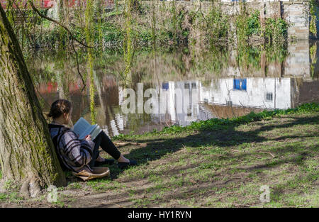 Young woman reading under a Willow tree on the banks of the Rear river, Durham, uk. Stock Photo