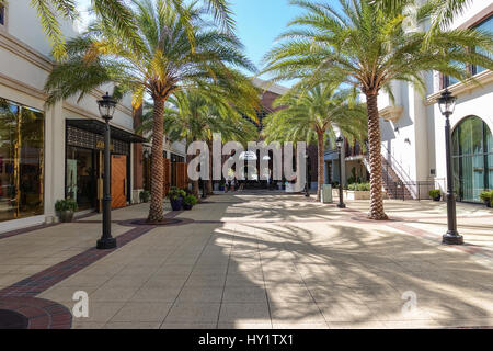 Palm tree lined avenue at Disney Springs, Florida Stock Photo