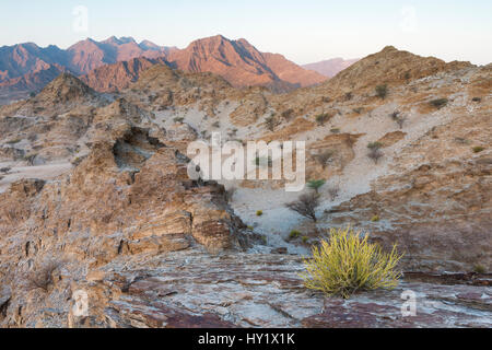Sedimentary rocks in the Hajar Mountains. United Arab Emirates. Stock Photo