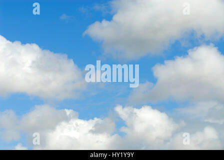 This stock photo shows a perfect  blue sky partly covered with cumulus clouds. The image was taken on a sunny morning. Stock Photo