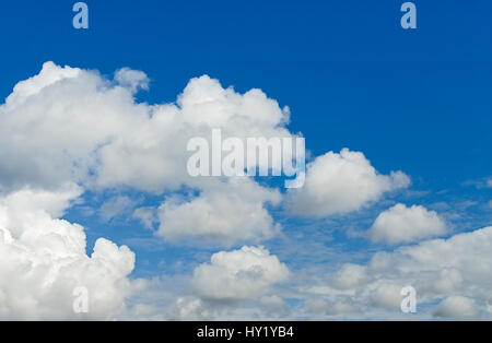 This stock photo shows a perfect blue sky partly covered with cumulus clouds. The image was taken on a sunny morning. Stock Photo