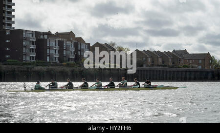 London, UK. 1st April, 2017. Cambridge University Boat Club on a final Practice Outing prior to the Cancer Research, UK. 01st Apr, 2017. Boat Races to be held on 2 April 2017. Crew list:- CUBC Blue Boat: Bow: Ben Ruble, 2: Freddie Davidson, 3: James Letten, 4: Tim Tracey, 5: Aleksander Malowany, 6: Patrick Eble, 7: Lance Tredell, Stroke: Henry Meek, Cox: Hugo Ramambason. Coach: Steve Trapmore. Credit: Duncan Grove/Alamy Live News Stock Photo
